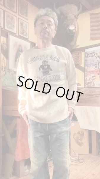 画像7: GUNZ ガンズ 　フロッキープリントスウェット　NATURAL (7)