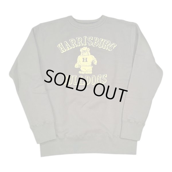 画像1: GUNZ ガンズ 　フロッキープリントスウェット　BLUE (1)