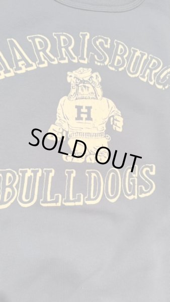 画像3: GUNZ ガンズ 　フロッキープリントスウェット　BLUE (3)