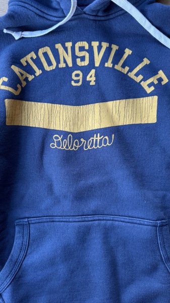 画像3: GUNZ ガンズ 　プリントフードスウェット CATONSVILLE　NAVY (3)