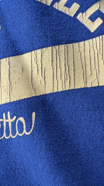 画像4: GUNZ ガンズ 　プリントフードスウェット CATONSVILLE　NAVY (4)