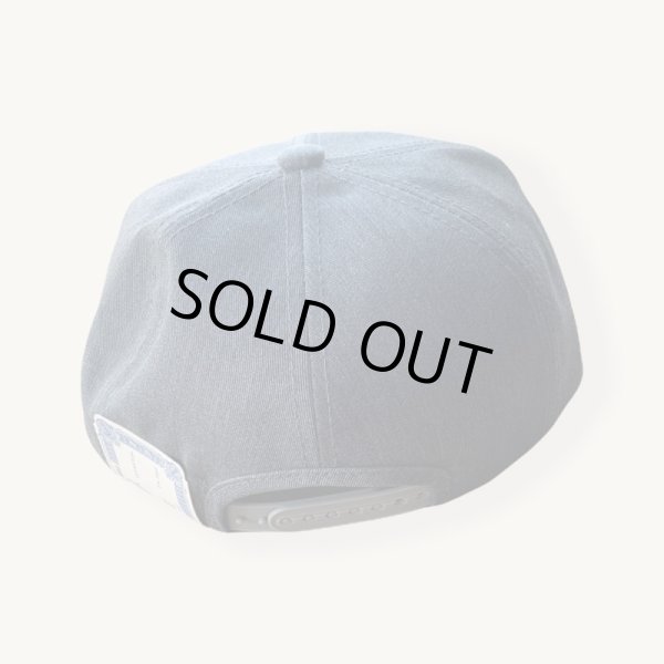 画像3: THE H.W.DOG&CO TRUCKER CAP 限定カラーGRAY グレー (3)