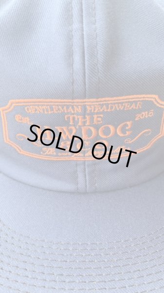 THE H.W.DOG&CO TRUCKER CAP23SS 刺繍ロゴ BLUE - PHILLIP66