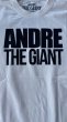 画像4: ANDRE THE GIANT   TEE (4)