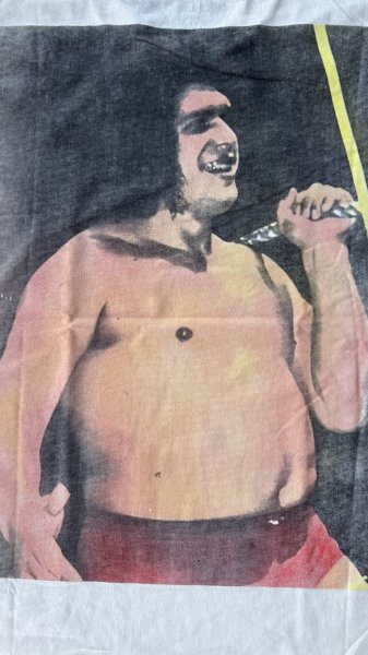 画像3: ANDRE THE GIANT   TEE (3)