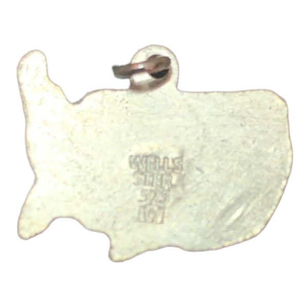 画像4: Wells Starling Silver 66別注アメリカチャームネックレス (4)