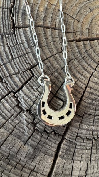 画像4: NAVAJO ナバホ族　Horseshoe Bend ホースシューネックレス (4)