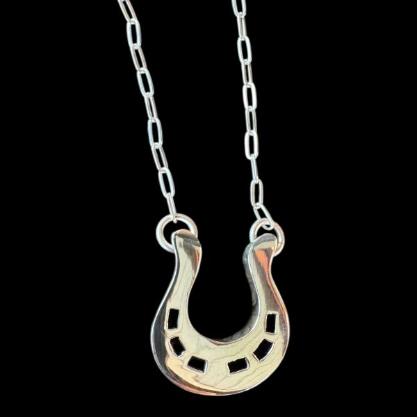 画像1: NAVAJO ナバホ族　Horseshoe Bend ホースシューネックレス (1)