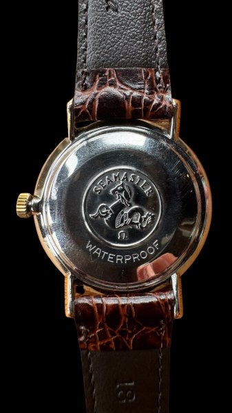 画像3: VINTAGE OMEGA SEA MASTER DEVILLE ブラウン文字盤 腕時計 (3)