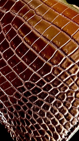 画像5: ITUAIS(イトゥアイス）　H.C.Pクロコダイル　ポロサスラウンドジップロングウォレット　BLACK (5)