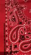 画像3: BANDANNAS  バンダナ　MADE IN U.S.A.　　スピリットペイズリー (3)
