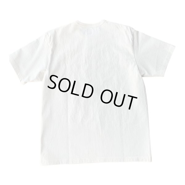 画像2: JELADO ジェラード プロレスTEE  Vanilla (2)