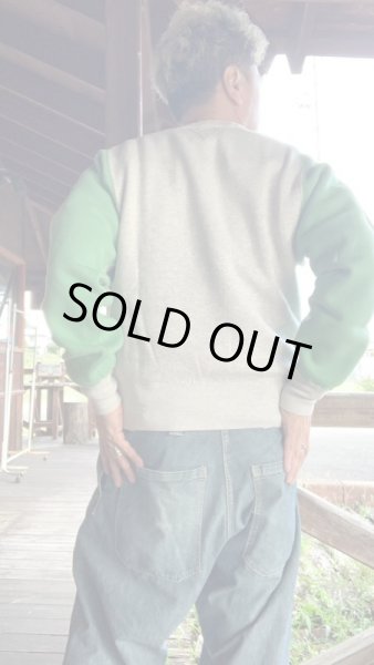 画像9: JELADO ジェラード Champs Sweat 2Tone  ソルト&ペッパー・ミント (9)