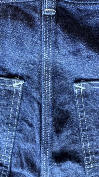 画像9: JELADO 311 W PainterPants  ジェラード ペインターパンツ (9)