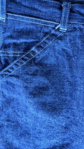 画像7: JELADO 311 W PainterPants  ジェラード ペインターパンツ (7)