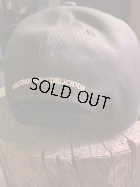 画像9: Sugar&CO  Washable Sugar Cap  シュガーキャップ (9)