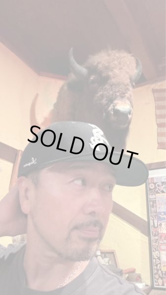 画像8: Sugar&CO  Washable fittedcap Sugar Cap  シュガーキャップ  Black (8)