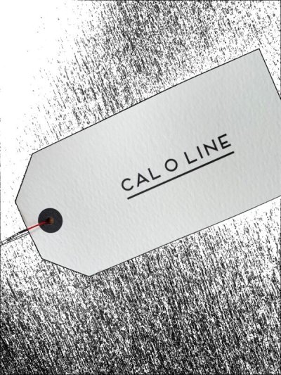 画像2: CAL O LINE  キャルオーライン　AMERICA WAVE TEE BEIGEベージ