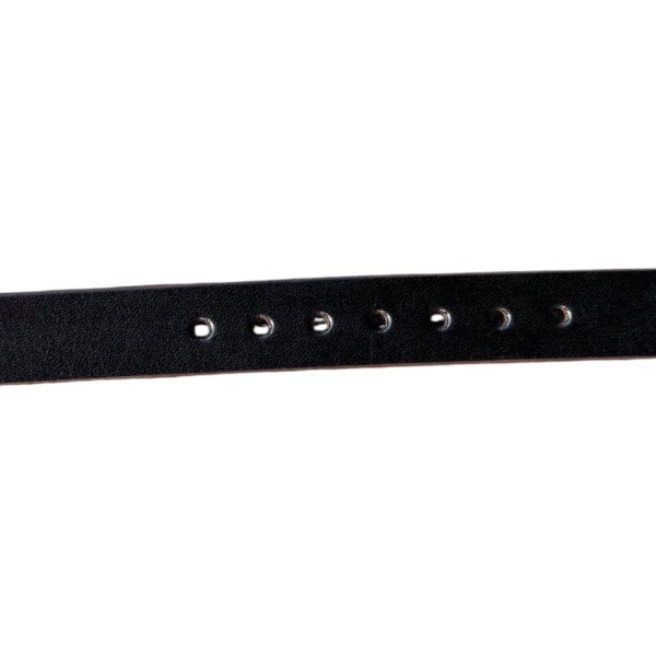 画像5: H.T.C.  Hollywood Trading Company  新作スタッズナローベルト  BLACK (5)