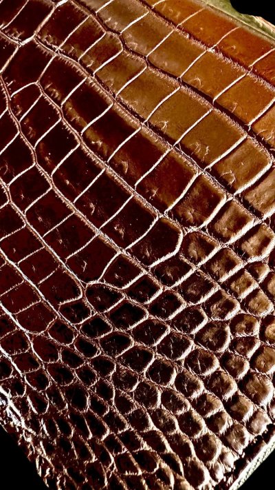 画像3: ITUAIS(イトゥアイス）　H.C.Pクロコダイル　ポロサスラウンドジップロングウォレット　BLACK