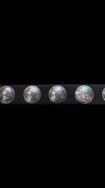 画像4: VintageWorks ヴィンテージワークス　ウエスタンベルト　コンチョ　ＢＬＡＣＫ (4)