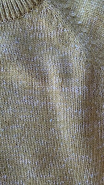画像4: BranchWorks ブランチワークス  クルーニット MUSTARD (4)