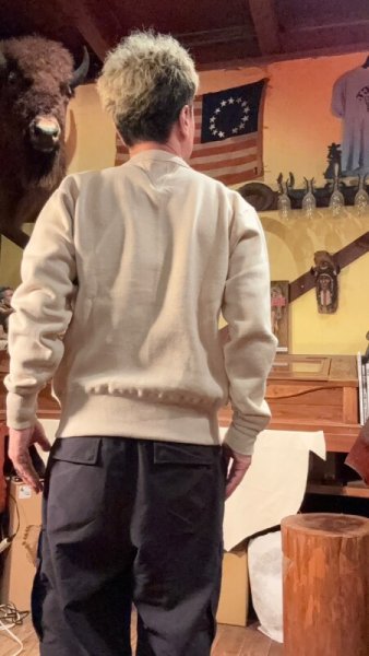 画像10: CUSHMAN(クッシュマン)FLOCKY PRINT SET IN SLEEVE   COLTSスウェット MIX BEIGE (10)