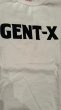 画像3: CUSHMAN  クッシュマンCOTTN GENT-X　L/S　TEE　ホワイト (3)