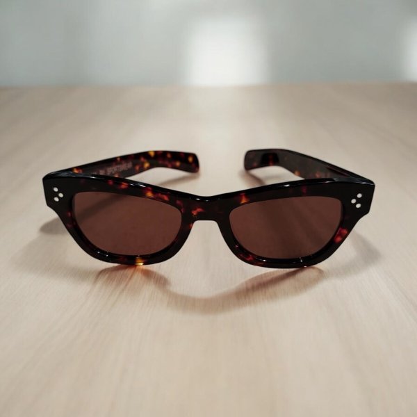 画像4: クッシュマン サングラス  CUSHMAN  WELLINGTON ウェイントンTORTOISE FRAME べっ甲柄 (4)