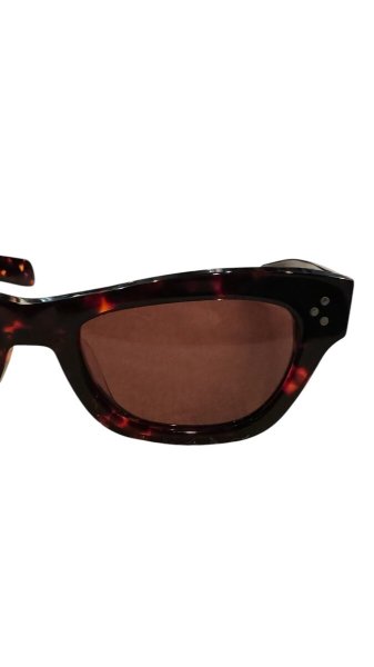 画像5: クッシュマン サングラス  CUSHMAN  WELLINGTON ウェイントンTORTOISE FRAME べっ甲柄 (5)