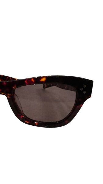 画像3: クッシュマン サングラス  CUSHMAN  WELLINGTON ウェイントンTORTOISE FRAME べっ甲柄 (3)