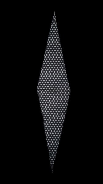 画像5: GYPSY & SONS ジプシーアンドサンズ NARROW SCARF  (5)