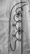 画像3: GYPSY＆SONS　EMBROID RODEO SHIRTS  IVORY (3)